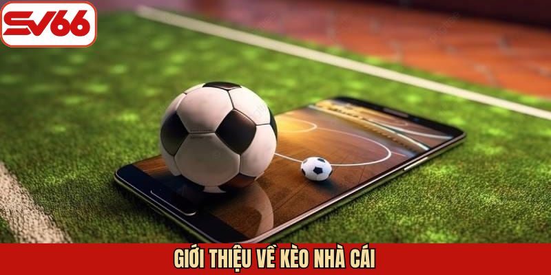Thông tin tổng quát về cược nhà cái