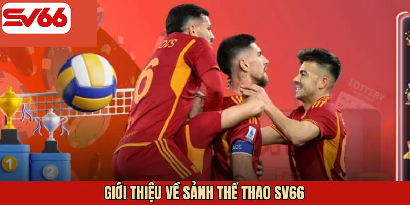 Khái quát về sảnh thể thao
