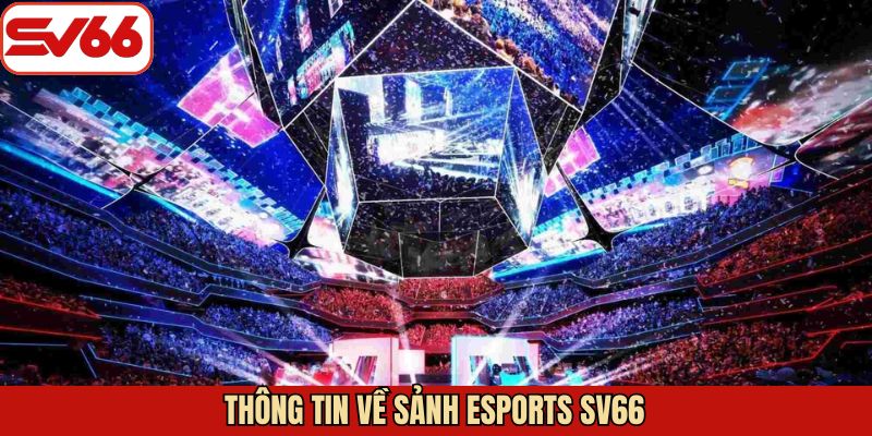 Đôi nét tổng quan về hình thức E-Sports