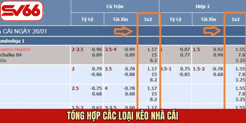 Hướng dẫn đọc kèo nhà cái chuẩn không cần chỉnh